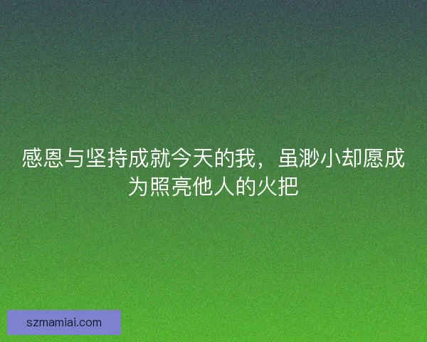 感恩与坚持成就今天的我，虽渺小却愿成为照亮他人的火把